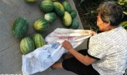 吃瓜最新事件爆料介休,吃瓜群众揭秘最新事件内幕